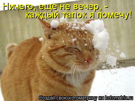 Котоматрица: Ничего, еще не вечер, - каждый тапок я помечу!