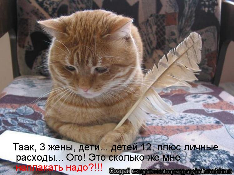 Котоматрица: Таак, 3 жены, дети... детей 12, плюс личные  расходы... Ого! Это сколько же мне наплакать надо?!!!