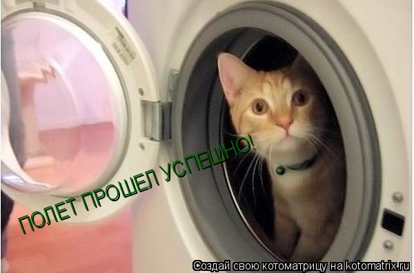 Котоматрица: ПОЛЕТ ПРОШЕЛ УСПЕШНО!