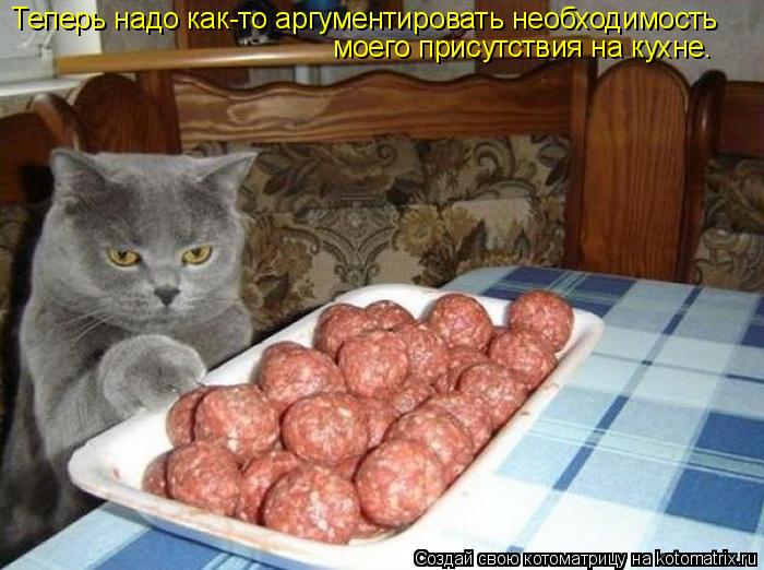 Котоматрица: Теперь надо как-то аргументировать необходимость моего присутствия на кухне.