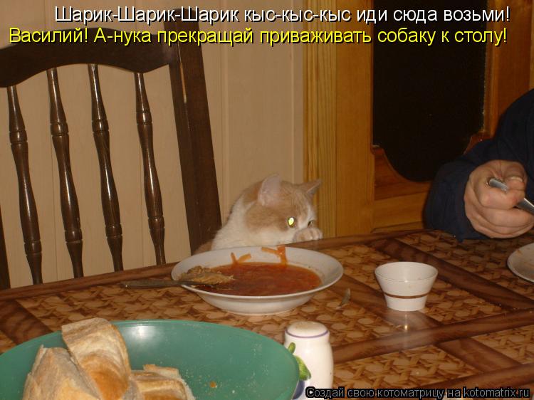 Котоматрица: Шарик-Шарик-Шарик кыс-кыс-кыс иди сюда возьми! Василий! А-нука прекращай приваживать собаку к столу!