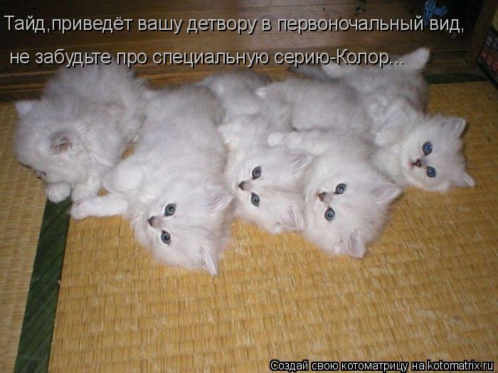 Котоматрица: Тайд,приведёт вашу детвору в первоночальный вид, не забудьте про специальную серию-Колор...