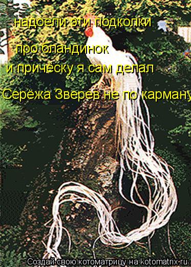 надоели эти подколки про бландинок и причёску я сам делал Серёжа Зверев не по карману... Котоматрица: надоели эти подколки про бландинок и причёску я сам делал Серёжа Зверев не по карману