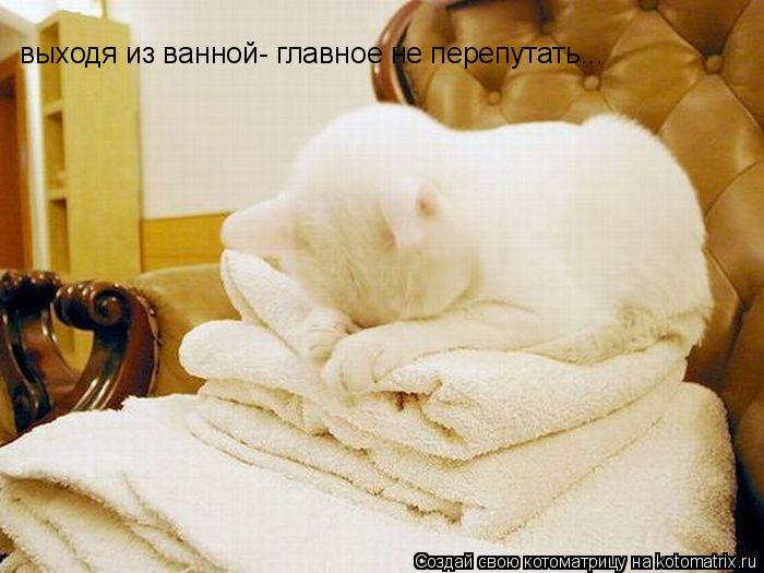 выходя из ванной- главное не перепутать...... Котоматрица: выходя из ванной- главное не перепутать...