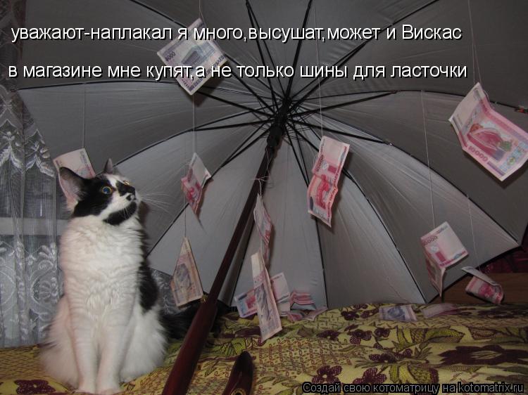 уважают-наплакал я много,высушат,может и Вискас в магазине мне купят,а не только шины для ласточки... Котоматрица: уважают-наплакал я много,высушат,может и Вискас в магазине мне купят,а не только шины для ласточки