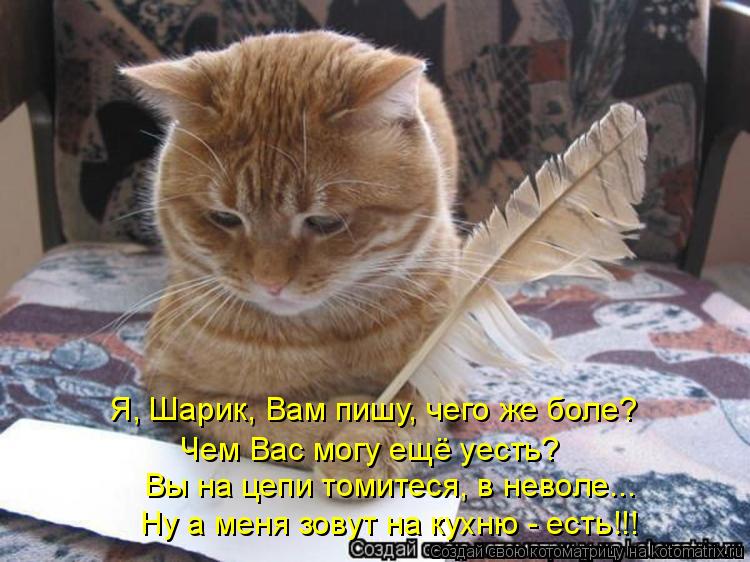 Чем Вас могу ещё уесть? Вы на цепи томитеся, в неволе... Ну а меня зовут на кухню - есть!!! Я, Шарик,... Котоматрица: Чем Вас могу ещё уесть? Вы на цепи томитеся, в неволе... Ну а меня зовут на кухню - есть!!! Я, Шарик, Вам пишу, чего же боле?