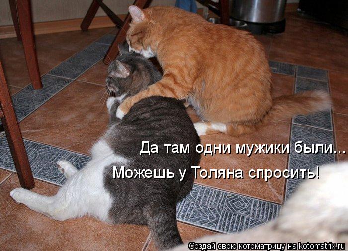 Да там одни мужики были... Можешь у Толяна спросить!... Котоматрица: Да там одни мужики были... Можешь у Толяна спросить!