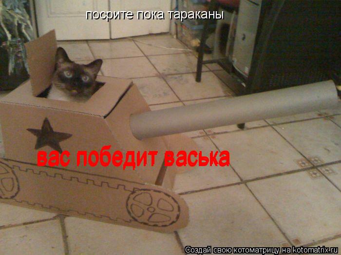 посрите пока тараканы вас победит васька вас победит васька... Котоматрица: посрите пока тараканы вас победит васька вас победит васька