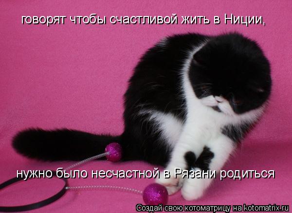 говорят чтобы счастливой жить в Ниции, нужно было несчастной в Рязани родиться... Котоматрица: говорят чтобы счастливой жить в Ниции, нужно было несчастной в Рязани родиться