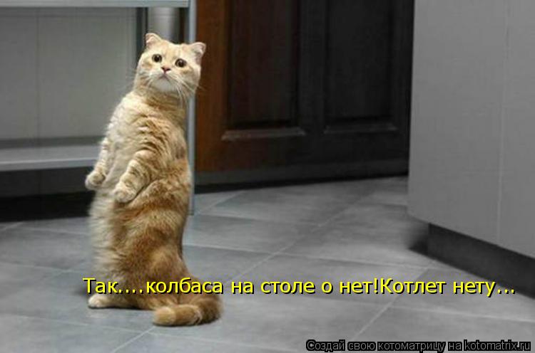 Так....колбаса на столе о нет!Котлет нету... Так....колбаса на столе о нет!Котлет нету...... Котоматрица: Так....колбаса на столе о нет!Котлет нету... Так....колбаса на столе о нет!Котлет нету...