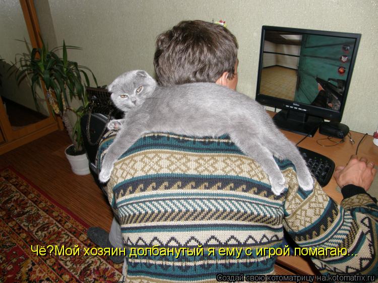 Чё?Мой хозяин долбанутый я ему с игрой помагаю...... Котоматрица: Чё?Мой хозяин долбанутый я ему с игрой помагаю...