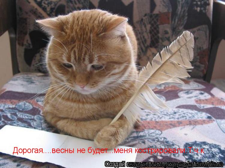 Дорогая....весны не будет...меня кострировали.Т.ч.к... Котоматрица: Дорогая....весны не будет...меня кострировали.Т.ч.к