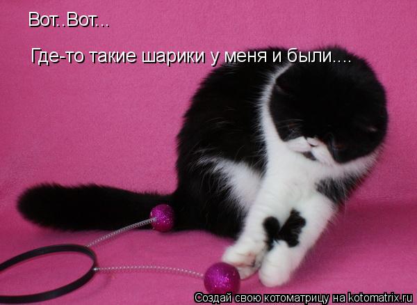 Вот..Вот... Где-то такие шарики у меня и были....... Котоматрица: Вот..Вот... Где-то такие шарики у меня и были....