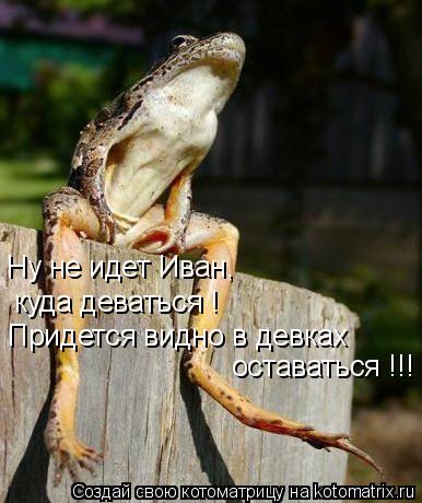куда деваться ! Придется видно в девках оставаться !!! Ну не идет Иван,... Котоматрица: куда деваться ! Придется видно в девках оставаться !!! Ну не идет Иван,
