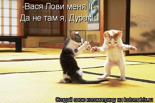 -Вася Лови меня !! Да не там я, Дурак!... Котоматрица: -Вася Лови меня !! Да не там я, Дурак!