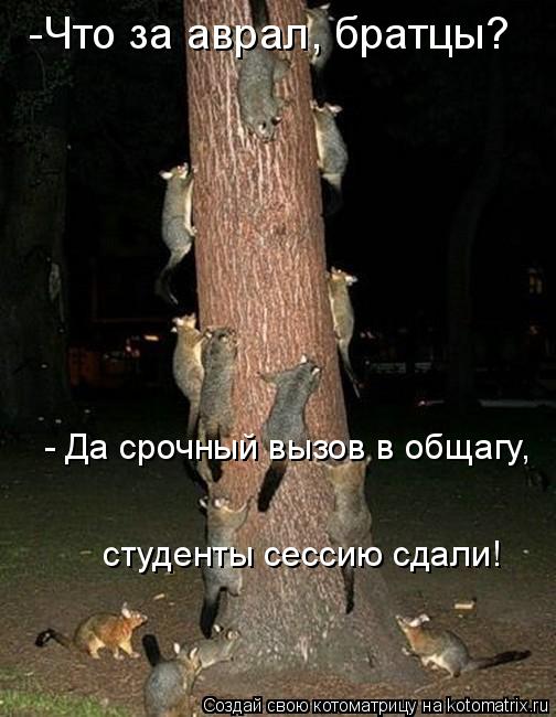 -Что за аврал, братцы? - Да срочный вызов в общагу, студенты сессию сдали!... Котоматрица: -Что за аврал, братцы? - Да срочный вызов в общагу, студенты сессию сдали!
