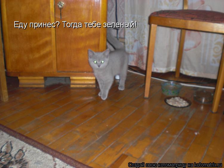 Еду принес? Тогда тебе зеленый!... Котоматрица: Еду принес? Тогда тебе зеленый!