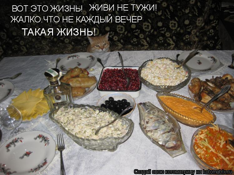 ВОТ ЭТО ЖИЗНЬ! ЖИВИ НЕ ТУЖИ! ЖАЛКО.ЧТО НЕ КАЖДЫЙ ВЕЧЕР ТАКАЯ ЖИЗНЬ!... Котоматрица: ВОТ ЭТО ЖИЗНЬ! ЖИВИ НЕ ТУЖИ! ЖАЛКО.ЧТО НЕ КАЖДЫЙ ВЕЧЕР ТАКАЯ ЖИЗНЬ!