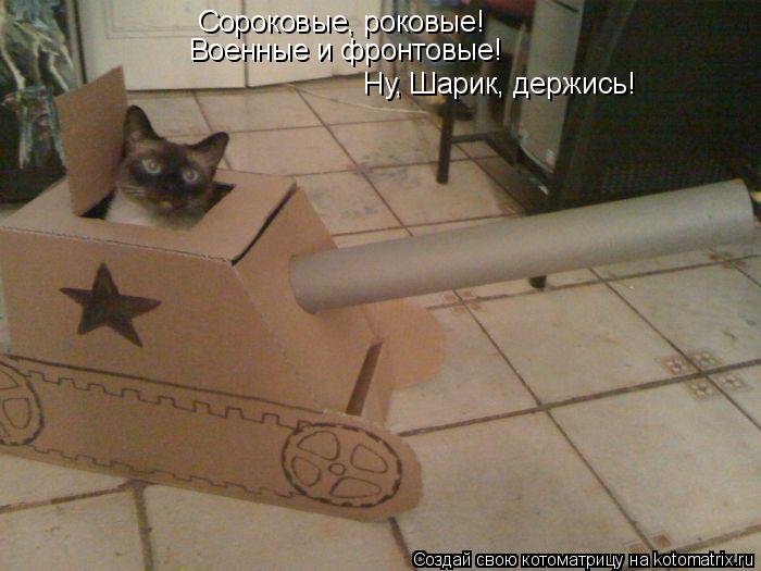 Сороковые, роковые! Военные и фронтовые! Ну, Шарик, держись!... Котоматрица: Сороковые, роковые! Военные и фронтовые! Ну, Шарик, держись!