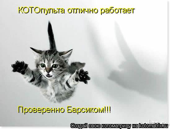 КОТОпульта отлично работает Проверенно Барсиком!!!... Котоматрица: КОТОпульта отлично работает Проверенно Барсиком!!!