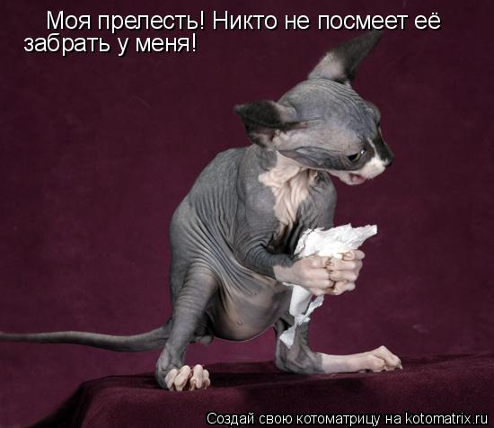 Моя прелесть! Никто не посмеет её забрать у меня!... Котоматрица: Моя прелесть! Никто не посмеет её забрать у меня!