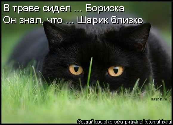 В траве сидел ... Бориска Он знал, что ... Шарик близко... Котоматрица: В траве сидел ... Бориска Он знал, что ... Шарик близко