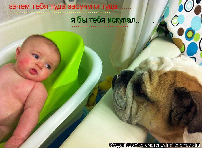 зачем тебя туда засунули туда....... я бы тебя искупал......... ........................................ Котоматрица: зачем тебя туда засунули туда....... я бы тебя искупал......... ................................................ ...........................