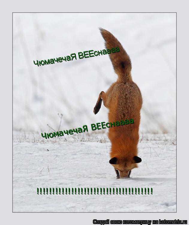 ЧюмачечаЯ ВЕЕснаааа ЧюмачечаЯ ВЕЕснаааа !!!!!!!!!!!!!!!!!!!!!!!!!!!!!!!!!!!!!... Котоматрица: ЧюмачечаЯ ВЕЕснаааа ЧюмачечаЯ ВЕЕснаааа !!!!!!!!!!!!!!!!!!!!!!!!!!!!!!!!!!!!!
