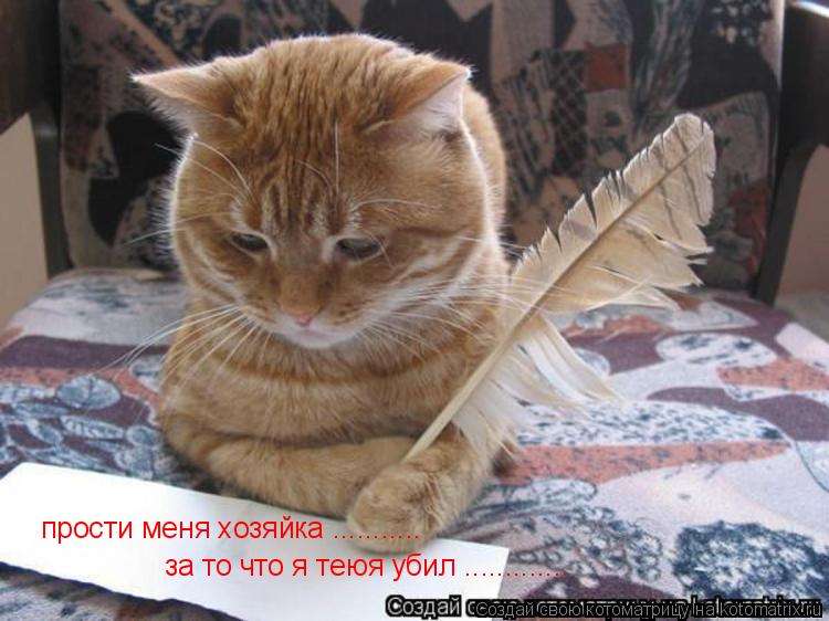 прости меня хозяйка ........... за то что я теюя убил ................ Котоматрица: прости меня хозяйка ........... за то что я теюя убил .............