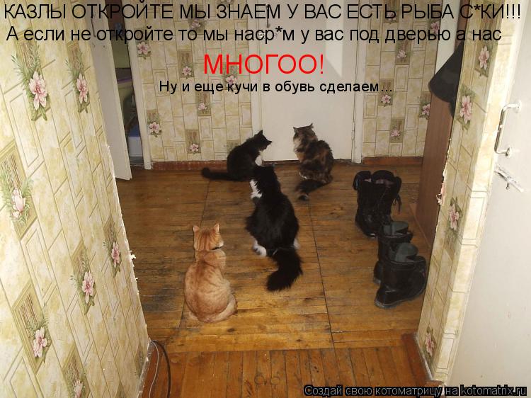 КАЗЛЫ ОТКРОЙТЕ МЫ ЗНАЕМ У ВАС ЕСТЬ РЫБА С*КИ!!! А если не откройте то мы наср*м у вас под дверью а на... Котоматрица: КАЗЛЫ ОТКРОЙТЕ МЫ ЗНАЕМ У ВАС ЕСТЬ РЫБА С*КИ!!! А если не откройте то мы наср*м у вас под дверью а нас МНОГОО! Ну и еще кучи в обувь сделаем...