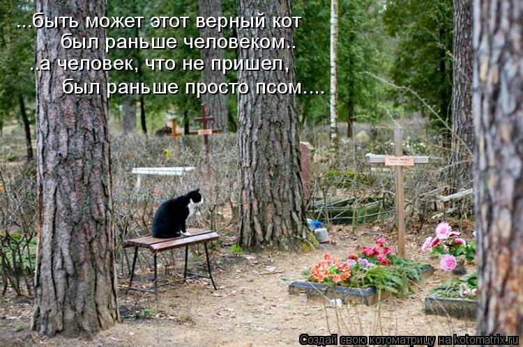 был раньше человеком.. ..а человек, что не пришел, был раньше просто псом.... ...быть может этот верн... Котоматрица: был раньше человеком.. ..а человек, что не пришел, был раньше просто псом.... ...быть может этот верный кот