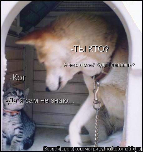 -ТЫ КТО? -Кот -А чего в моей будке делаешь? -Да я сам не знаю...... Котоматрица: -ТЫ КТО? -Кот -А чего в моей будке делаешь? -Да я сам не знаю...