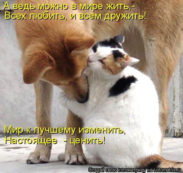 Всех любить, и всем дружить! А ведь можно в мире жить,- Мир к лучшему изменить, Настоящее - ценить!... Котоматрица: Всех любить, и всем дружить! А ведь можно в мире жить,- Мир к лучшему изменить, Настоящее - ценить!