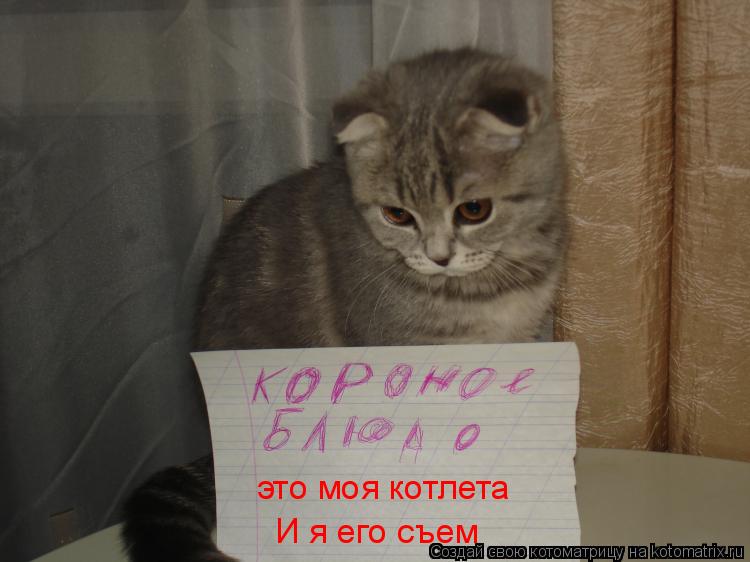 это моя котлета И я его съем... Котоматрица: это моя котлета И я его съем