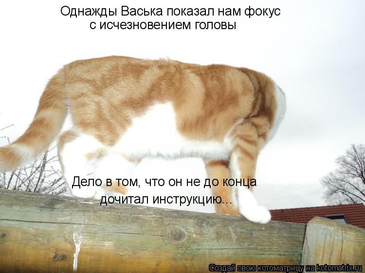 Однажды Васька показал нам фокус с исчезновением головы Дело в том, что он не до конца дочитал инстру... Котоматрица: Однажды Васька показал нам фокус с исчезновением головы Дело в том, что он не до конца дочитал инструкцию...