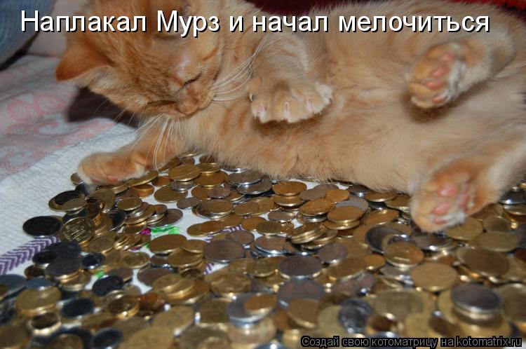 Наплакал Мурз и начал мелочиться... Котоматрица: Наплакал Мурз и начал мелочиться