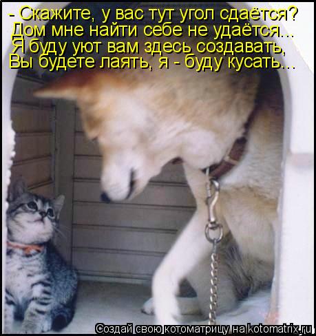 - Скажите, у вас тут угол сдаётся? Дом мне найти себе не удаётся... Я буду уют вам здесь создавать, В... Котоматрица: - Скажите, у вас тут угол сдаётся? Дом мне найти себе не удаётся... Я буду уют вам здесь создавать, Вы будете лаять, я - буду кусать...