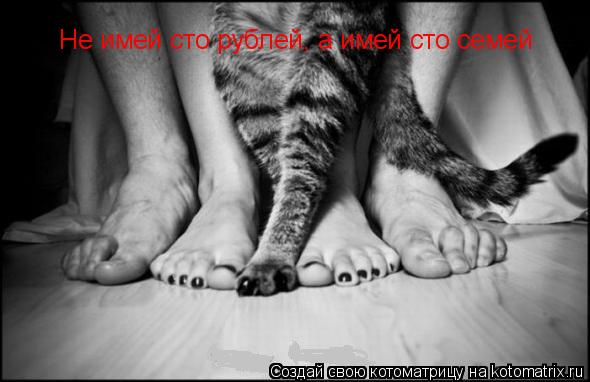 Не имей сто рублей, а имей сто семей... Котоматрица: Не имей сто рублей, а имей сто семей