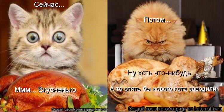 Сейчас... Ммм... Вкусненько Потом... Ну хоть что-нибудь... А то опять бы нового кота заводили... Котоматрица: Сейчас... Ммм... Вкусненько Потом... Ну хоть что-нибудь... А то опять бы нового кота заводили