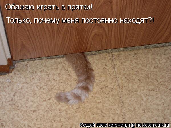 Обажаю играть в прятки! Только, почему меня постоянно находят?!... Котоматрица: Обажаю играть в прятки! Только, почему меня постоянно находят?!
