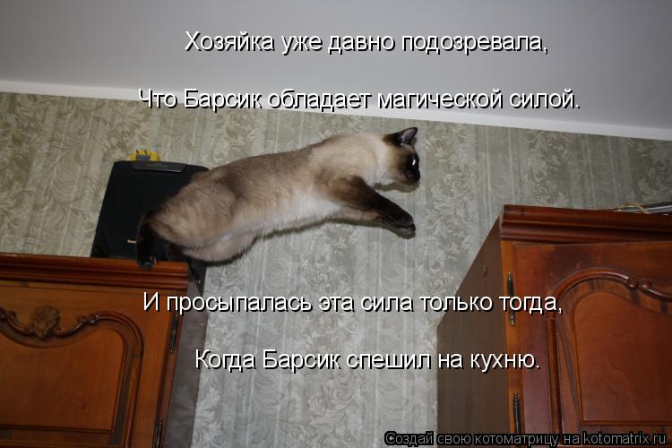 Котоматрица: Хозяйка уже давно подозревала, Что Барсик обладает магической силой. И просыпалась эта сила только тогда, Когда Барсик спешил на кухню.