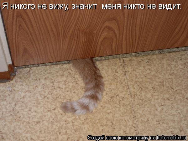 Я никого не вижу, значит меня никто не видит.... Котоматрица: Я никого не вижу, значит меня никто не видит.
