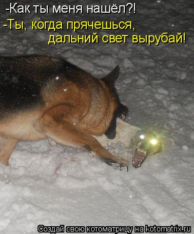 -Как ты меня нашёл?! -Ты, когда прячешься, дальний свет вырубай!... Котоматрица: -Как ты меня нашёл?! -Ты, когда прячешься, дальний свет вырубай!