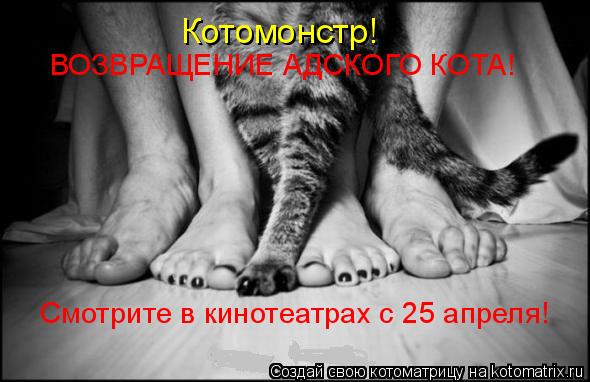 Котомонстр! Смотрите в кинотеатрах с 25 апреля! ВОЗВРАЩЕНИЕ АДСКОГО КОТА!... Котоматрица: Котомонстр! Смотрите в кинотеатрах с 25 апреля! ВОЗВРАЩЕНИЕ АДСКОГО КОТА!
