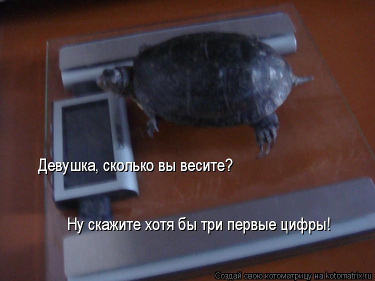 Девушка, сколько вы весите? Ну скажите хотя бы три первые цифры!... Котоматрица: Девушка, сколько вы весите? Ну скажите хотя бы три первые цифры!