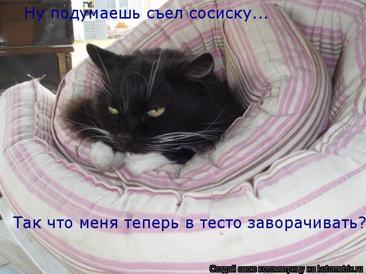Ну подумаешь съел сосиску... Так что меня теперь в тесто заворачивать?... Котоматрица: Ну подумаешь съел сосиску... Так что меня теперь в тесто заворачивать?