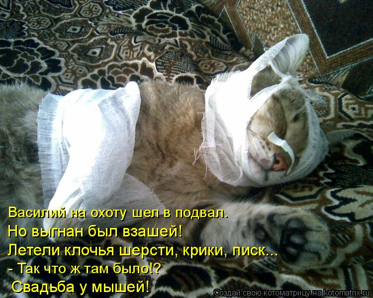 Василий на охоту шел в подвал. Но выгнан был взашей! Летели клочья шерсти, крики, писк... - Так что ... Котоматрица: Василий на охоту шел в подвал. Но выгнан был взашей! Летели клочья шерсти, крики, писк... - Так что ж там было!? Свадьба у мышей!