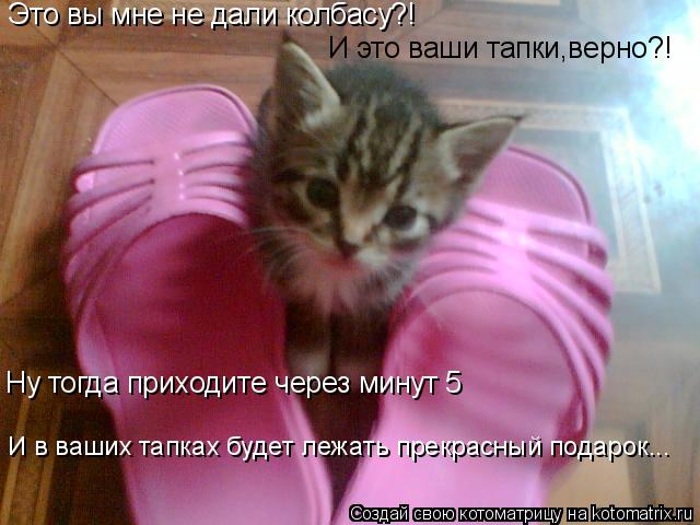 Это вы мне не дали колбасу?! И это ваши тапки,верно?! Ну тогда приходите через минут 5 И в ваших тапк... Котоматрица: Это вы мне не дали колбасу?! И это ваши тапки,верно?! Ну тогда приходите через минут 5 И в ваших тапках будет лежать прекрасный подарок...