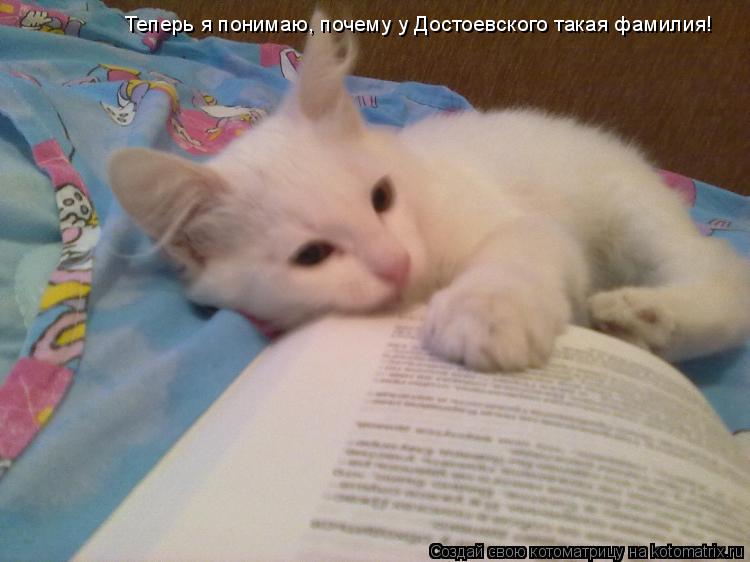 Теперь я понимаю, почему у Достоевского такая фамилия!... Котоматрица: Теперь я понимаю, почему у Достоевского такая фамилия!