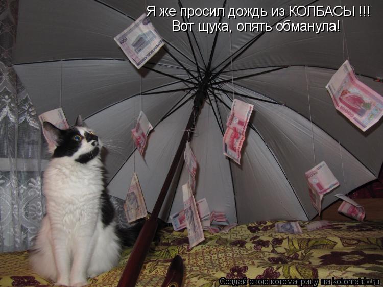 Я же просил дождь из КОЛБАСЫ !!! Вот щука, опять обманула!... Котоматрица: Я же просил дождь из КОЛБАСЫ !!! Вот щука, опять обманула!